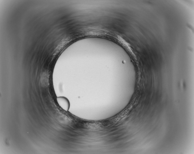 X0000096220106200802081534