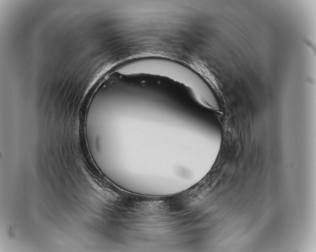 X0000096220108200802081534