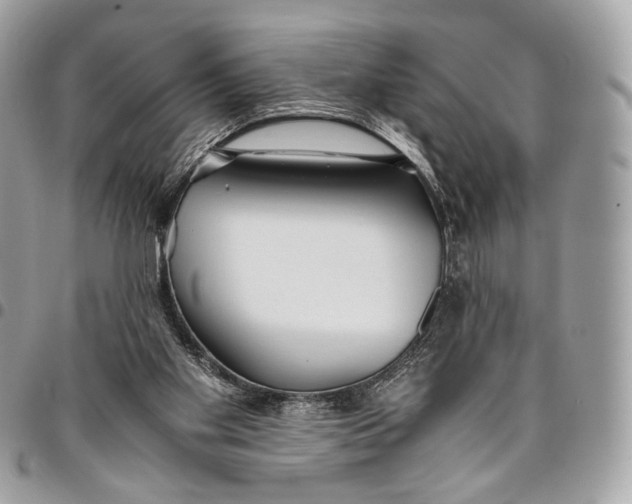 X0000096220109200802081534