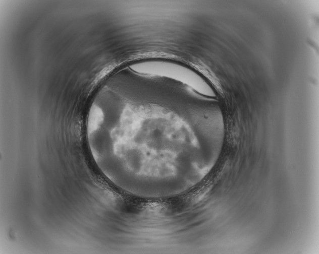 X0000096220111200802081534