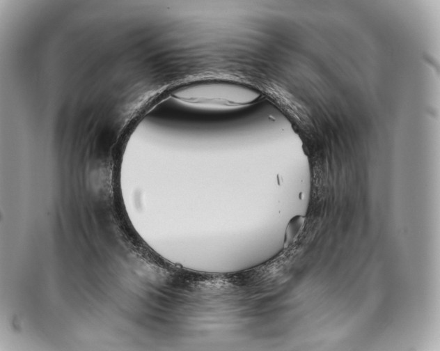 X0000096220112200802081534