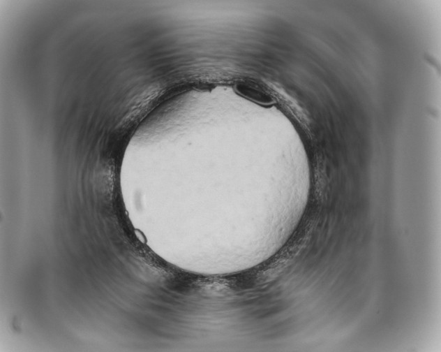 X0000096220113200802081534