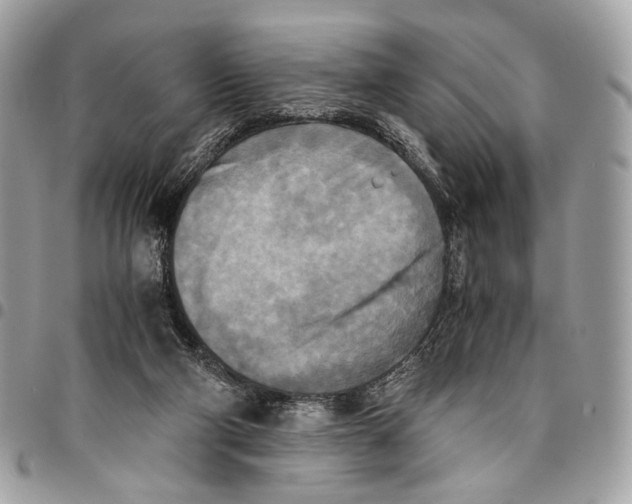 X0000096220114200802081534