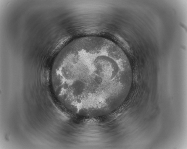 X0000096220115200802081534