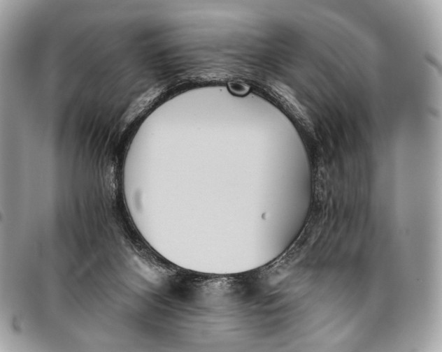 X0000096220116200802081534