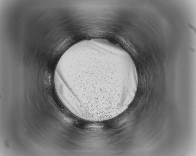 X0000096220117200802081534