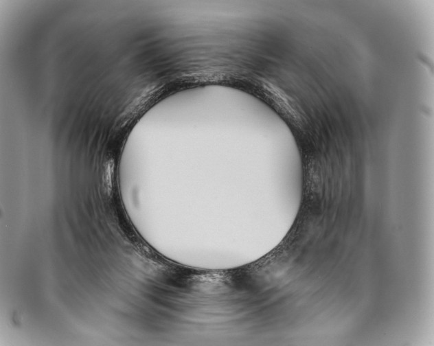 X0000096220118200802081534