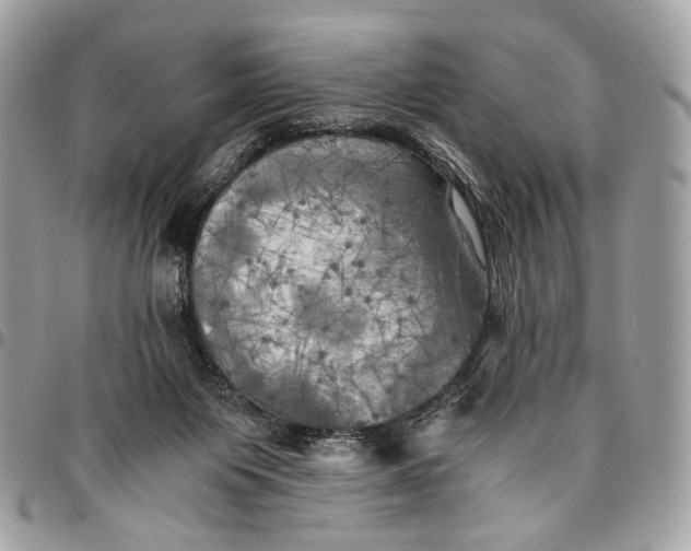 X0000096220119200802081534