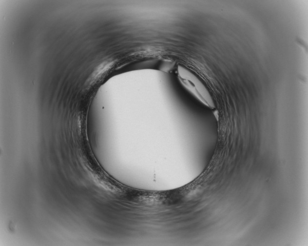 X0000096220120200802081534