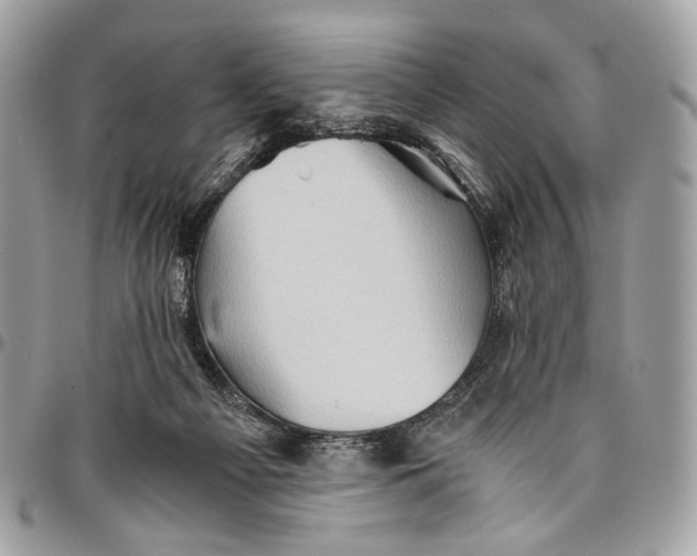 X0000096220121200802081534