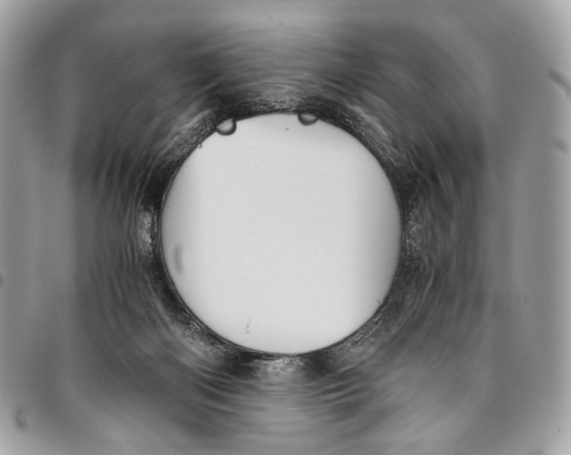 X0000096220122200802081534