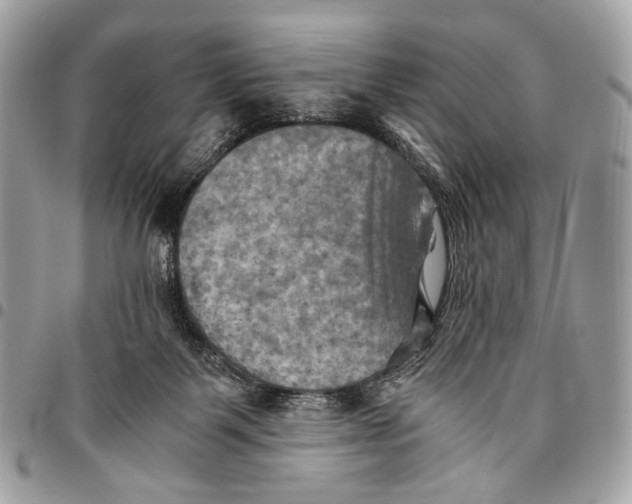 X0000096220123200802081534