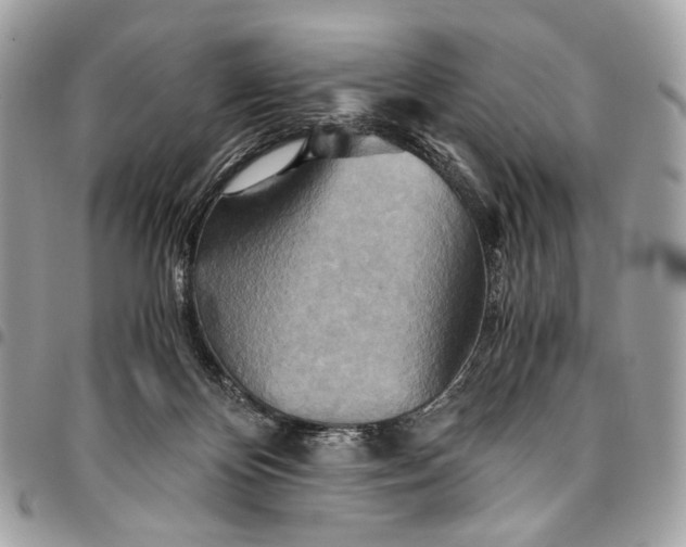 X0000096220124200802081534