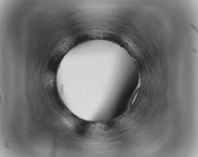 X0000096220125200802081534