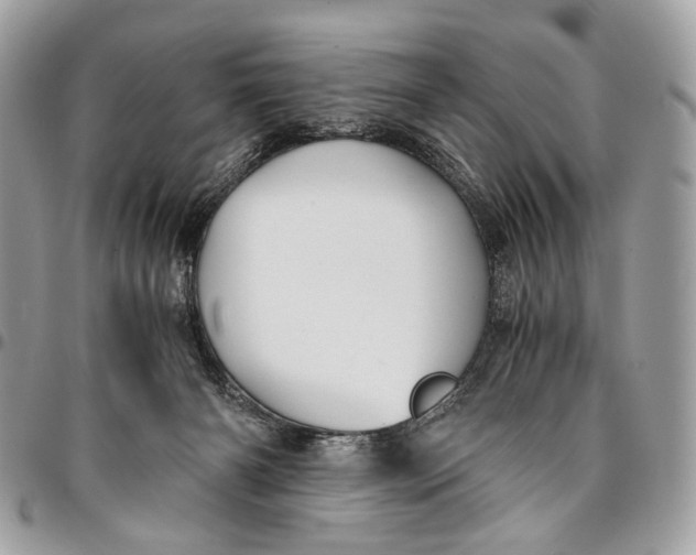 X0000096220126200802081534