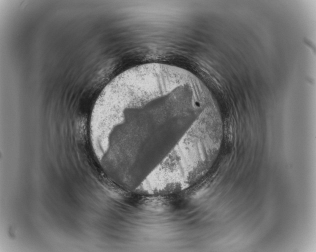 X0000096220127200802081534