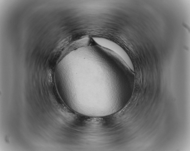 X0000096220128200802081534