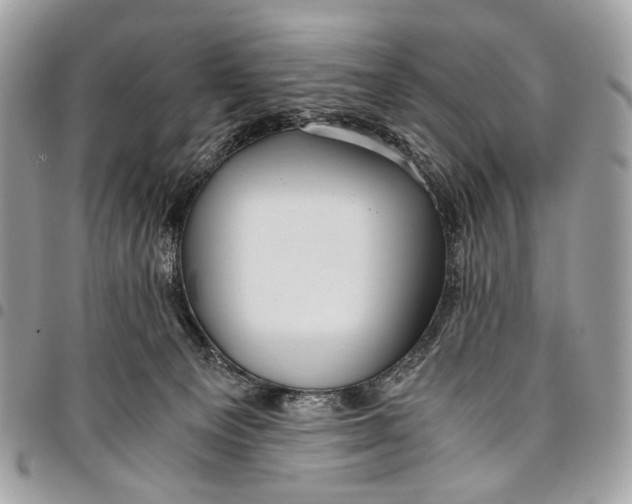 X0000096220129200802081534