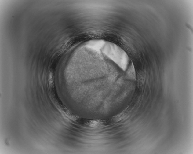 X0000096220130200802081534