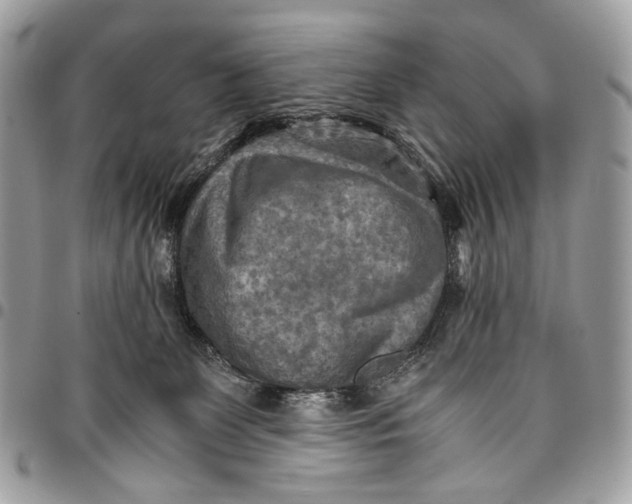 X0000096220131200802081534