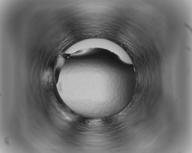 X0000096220132200802081534