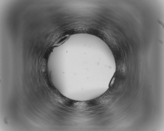 X0000096220133200802081534