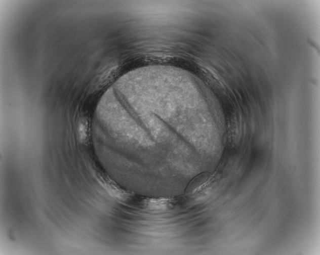 X0000096220134200802081534