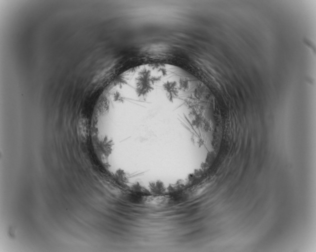 X0000096220135200802081534