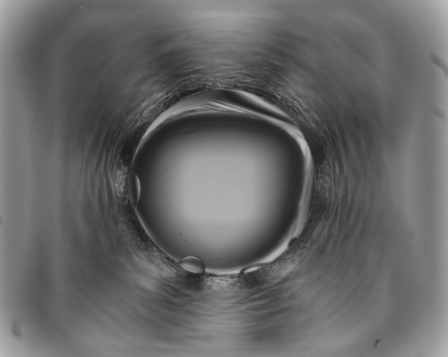 X0000096220139200802081534