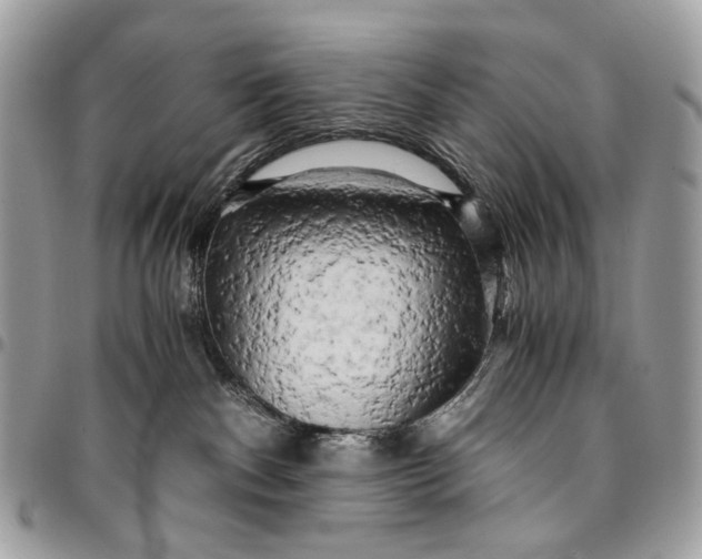 X0000096220140200802081534