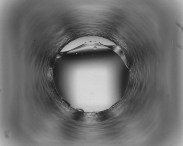 X0000096220141200802081533