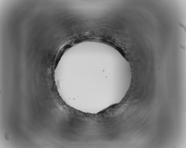 X0000096220144200802081533