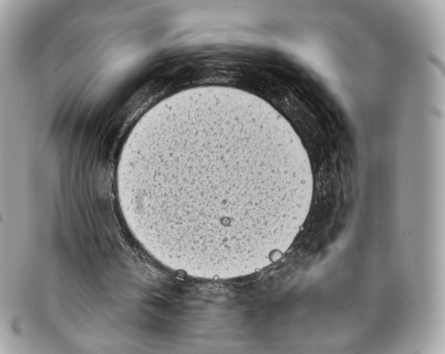 X0000096220146200802081533