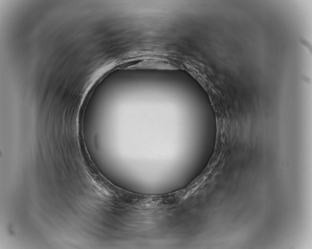 X0000096220148200802081533