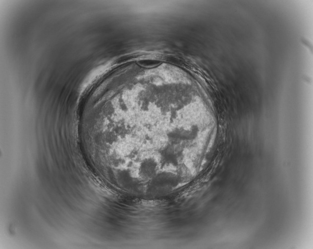 X0000096220149200802081533