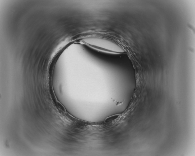 X0000096220150200802081533