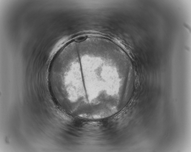 X0000096220151200802081533