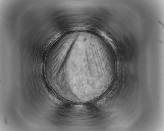 X0000096220153200802081533