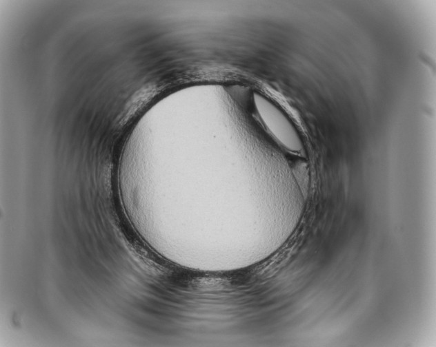 X0000096220154200802081533