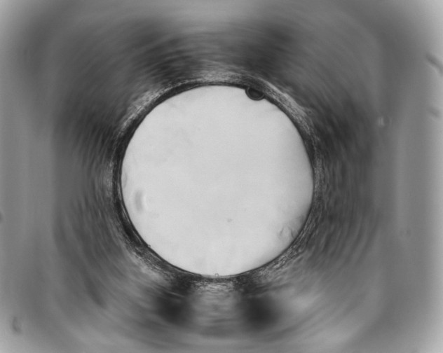 X0000096220155200802081533