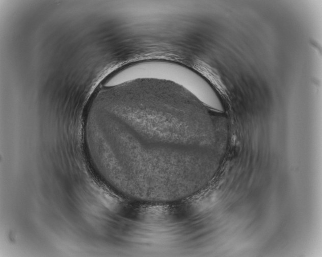 X0000096220156200802081533