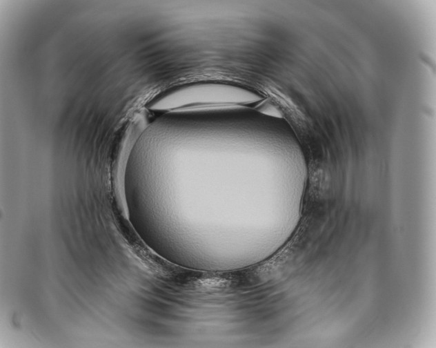 X0000096220158200802081533