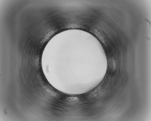 X0000096220159200802081533