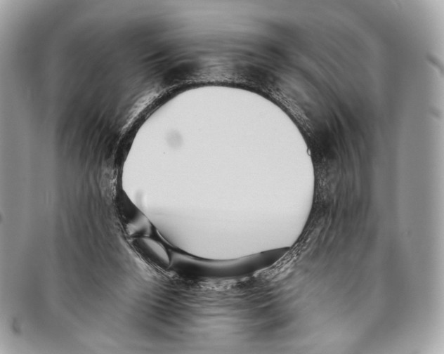 X0000096220160200802081533