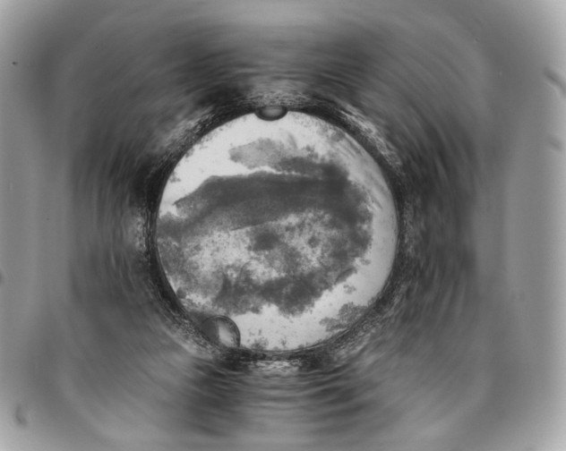 X0000096220161200802081533