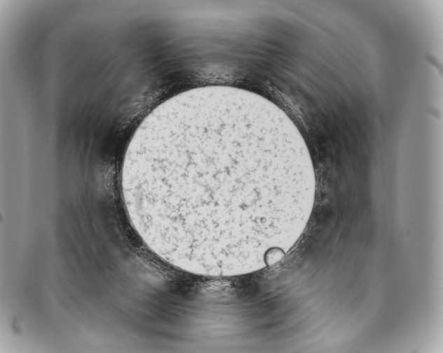 X0000096220162200802081533