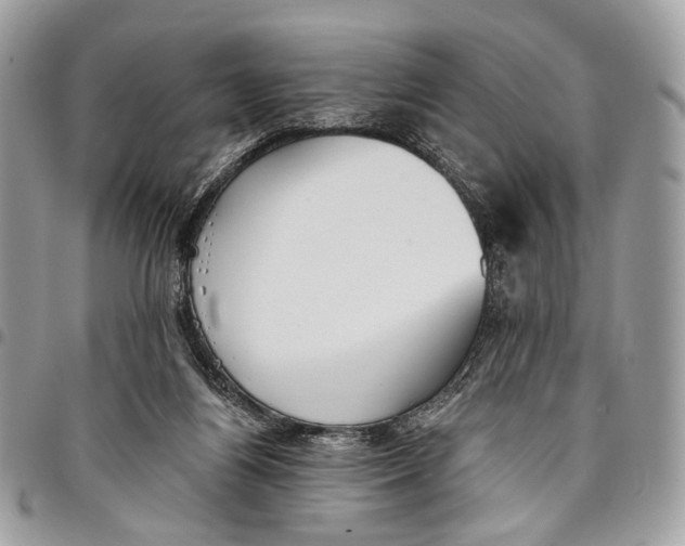 X0000096220164200802081533