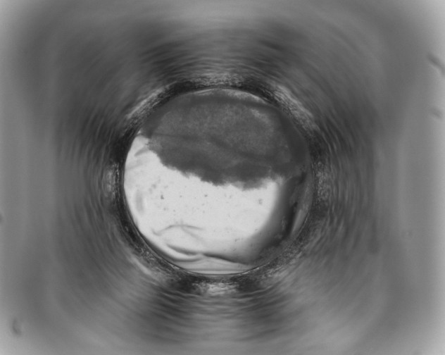 X0000096220165200802081533