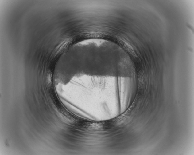 X0000096220166200802081533