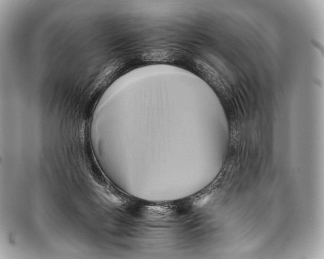 X0000096220167200802081533